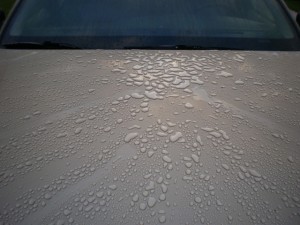 Car Hood after a spray wax